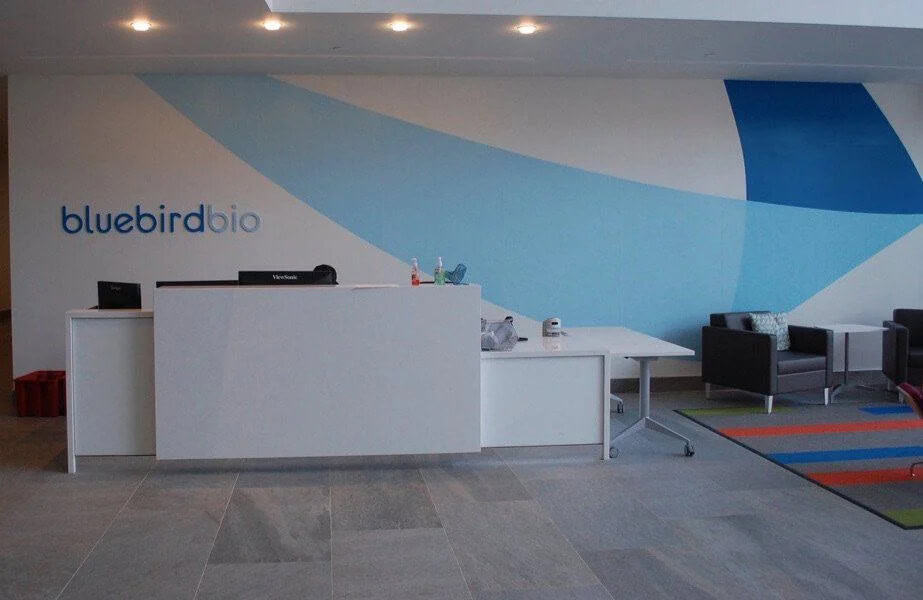 The image depicts the welcome lobby of the Bluebird Bio office, characterized by a modern and minimalist design. The reception area features a sleek, white desk with the company’s logo prominently displayed on the wall behind it, set against a large, artistic blue swirl that creates a dynamic and inviting atmosphere. The color scheme, using shades of blue, reflects the company’s branding and adds a serene touch to the space. The area is furnished with comfortable seating arrangements, suggesting a professional yet welcoming environment for visitors and employees. This setting exemplifies effective corporate branding through interior design, enhancing both the aesthetic appeal and the functional use of the space.